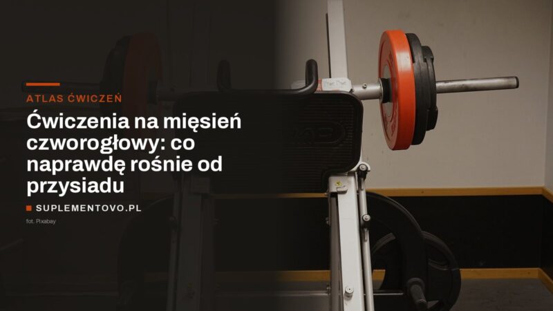 Suwnica do wyciskania nogami z obciążeniem na talerzach