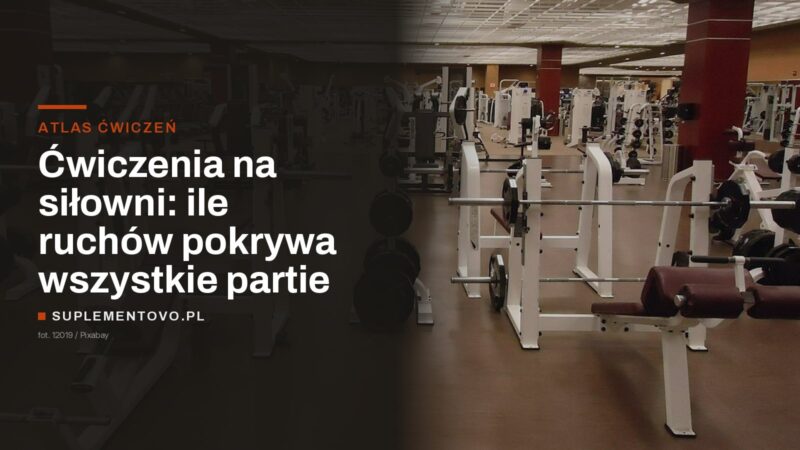 Sala treningowa siłowni: rzędy ławek, stojaków na sztangę i maszyn oporowych