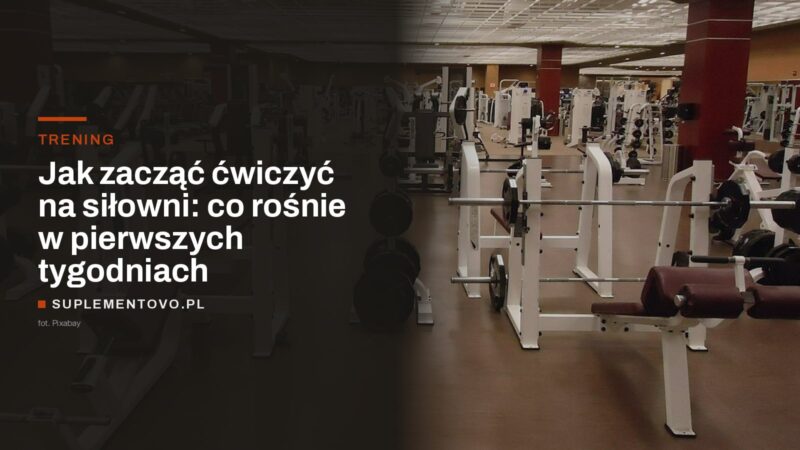 Wnętrze siłowni ze stojakami na sztangę, ławkami i maszynami