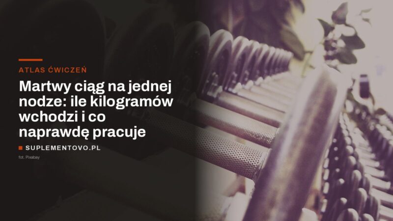 Hantle ułożone na stojaku w siłowni