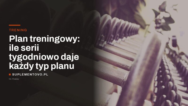 Stojak z hantlami w siłowni, w tle sprzęt treningowy