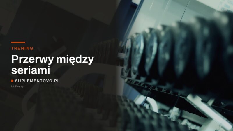 rząd hantli na stojaku w siłowni