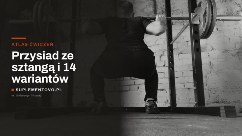 Mężczyzna w dolnej fazie przysiadu ze sztangą na plecach w klatce treningowej, ujęcie od tyłu