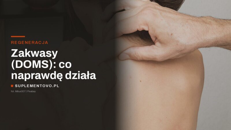 Dłonie terapeuty uciskające mięśnie pleców podczas masażu sportowego